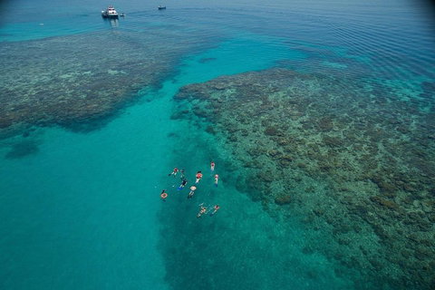 Ocean Freedom Great Barrier Reef Personal Luxury Snorkel & Dive Cruise, Cairns - St Kilda Accommodation 3