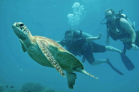 Ocean Freedom Great Barrier Reef Personal Luxury Snorkel & Dive Cruise, Cairns - St Kilda Accommodation 4