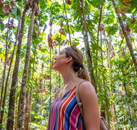 5 Day Australia Retreat Queensland Daintree - St Kilda Accommodation