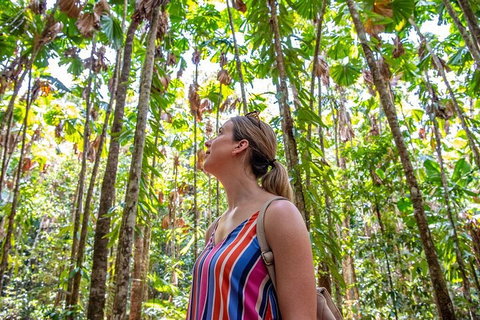 5 Day Australia Retreat: Queensland Daintree - St Kilda Accommodation 0