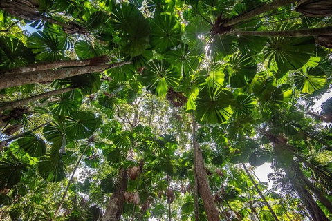 5 Day Australia Retreat: Queensland Daintree - St Kilda Accommodation 2