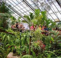 Australian Butterfly Sanctuary - St Kilda Accommodation