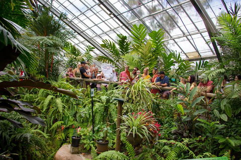 Australian Butterfly Sanctuary - St Kilda Accommodation 0