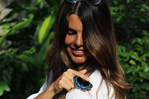 Australian Butterfly Sanctuary - St Kilda Accommodation 2