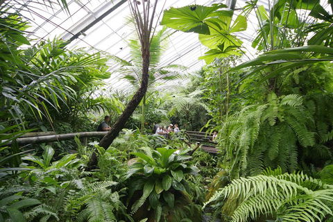 Australian Butterfly Sanctuary - St Kilda Accommodation 3