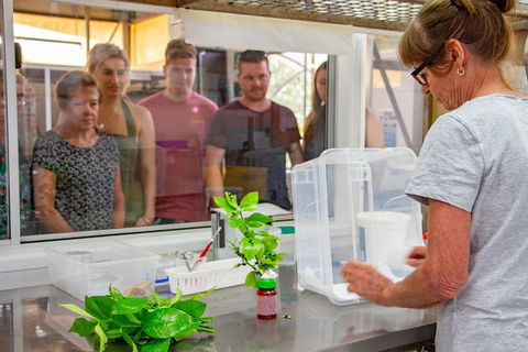 Australian Butterfly Sanctuary - St Kilda Accommodation 5