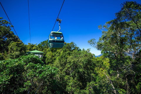 Classic Kuranda By Skyrail And Scenic Railway Including Rainforestation, Koala And Wildlife Park And Pamagirri Aboriginal Experi - St Kilda Accommodation 0