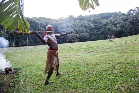 Classic Kuranda By Skyrail And Scenic Railway Including Rainforestation, Koala And Wildlife Park And Pamagirri Aboriginal Experi - St Kilda Accommodation 5