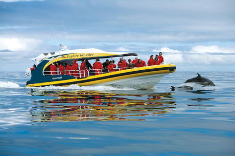 Tasman Island Cruises And Port Arthur Historic Site Day Tour From Hobart - St Kilda Accommodation 3