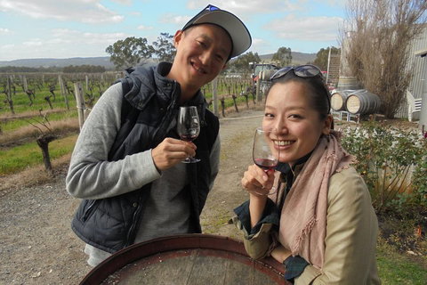 Swan Valley River Cruise And Wine Tasting Day Trip From Perth - St Kilda Accommodation 0