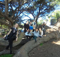 1/2 day Swan Valley Wine Cheese  Chocolate Tour Inc Afternoon Cruise to Perth - St Kilda Accommodation