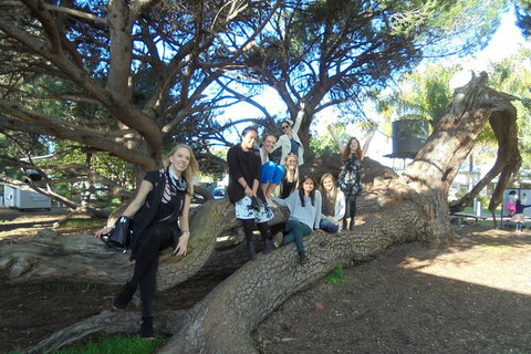 1/2 Day Swan Valley Wine Cheese & Chocolate Tour Inc Afternoon Cruise To Perth - St Kilda Accommodation 0