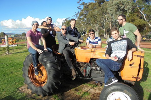 1/2 Day Swan Valley Wine Cheese & Chocolate Tour Inc Afternoon Cruise To Perth - St Kilda Accommodation 1