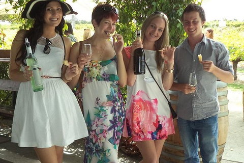 1/2 Day Swan Valley Wine Cheese & Chocolate Tour Inc Afternoon Cruise To Perth - St Kilda Accommodation 4