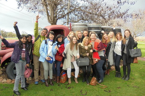 1/2 Day Swan Valley Wine Cheese & Chocolate Tour Inc Afternoon Cruise To Perth - St Kilda Accommodation 5