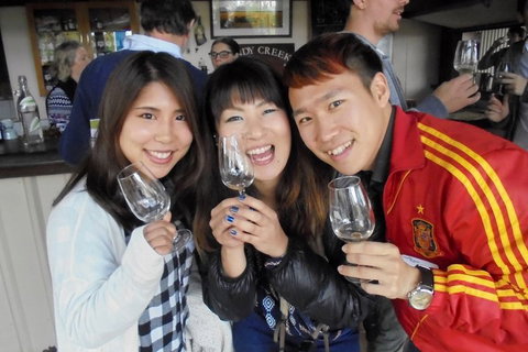 Wine Tasting Day Trip And Swan Valley River Cruise To Perth - St Kilda Accommodation 3