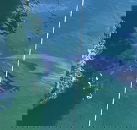 Dolphin Cruise from Adelaide with Optional Dolphin Swim - St Kilda Accommodation