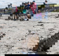 Kangaroo Island in a Day Tour from Adelaide - St Kilda Accommodation