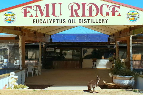 2 Day Ultimate Kangaroo Island With Return Ferry - St Kilda Accommodation 3