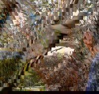 NEW TOUR - Kangaroo Island Road to Recovery Tour 1 Day/1 Night - St Kilda Accommodation