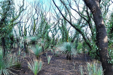 NEW TOUR - Kangaroo Island Road To Recovery Tour (1 Day/1 Night) - St Kilda Accommodation 3