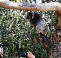 Small-Group Great Ocean Road Day Trip from Melbourne - St Kilda Accommodation