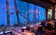 Cairns Aquarium And Small Group City Sightseeing Tour - thumb 4
