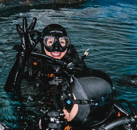 Cairns Aquarium Dive with the Sharks - St Kilda Accommodation