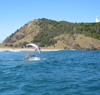Kayaking with Dolphins in Byron Bay Guided Tour - St Kilda Accommodation