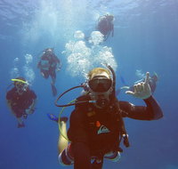 12-Day Great Barrier Reef Marine Conservation Program from Cairns - St Kilda Accommodation