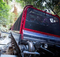 Blue Mountains Hop-on Hop-off Tour with Optional Scenic World Rides - St Kilda Accommodation