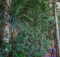 Atherton Tablelands Rain Forest by Night from Cairns - St Kilda Accommodation