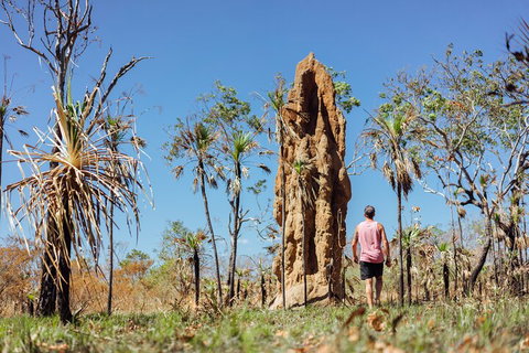 Litchfield National Park Waterfalls And Wildlife Tour From Darwin - St Kilda Accommodation 4