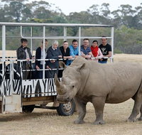 Off-Road Safari at Werribee Open Range Zoo - St Kilda Accommodation
