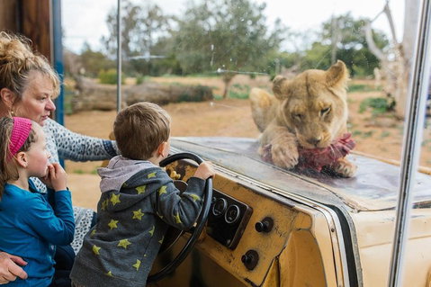 Werribee Open Range Zoo General Admission Ticket - St Kilda Accommodation 4