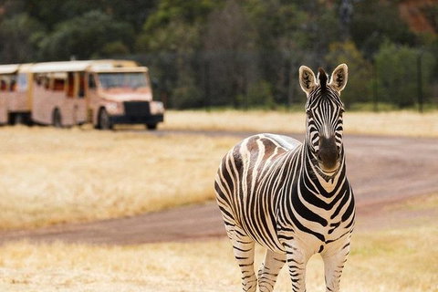 Werribee Open Range Zoo General Admission Ticket - St Kilda Accommodation 5