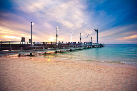 Tangalooma Island Resort Whale Watching Day Cruise With Dolphin Viewing - St Kilda Accommodation 3