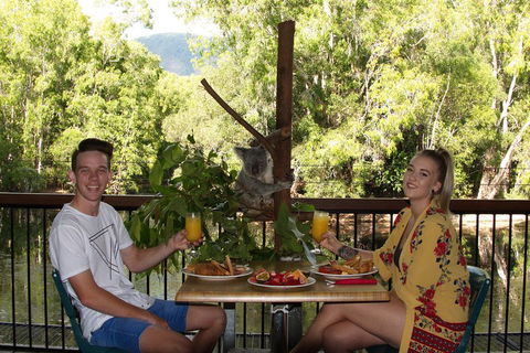 Hartley's Crocodile Adventures Breakfast With The Koalas - St Kilda Accommodation 5