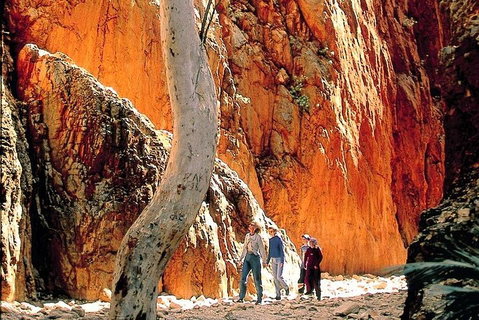 West MacDonnell Ranges Day Trip From Alice Springs - St Kilda Accommodation 3