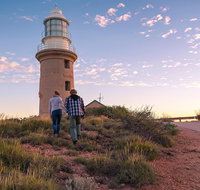 6-Day Coral Coaster from Perth to Exmouth One-Way via Monkey Mia Ningaloo Reef - St Kilda Accommodation