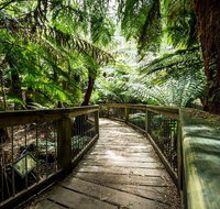 12 Apostles Eco-Friendly Great Ocean Road Iconic Adventure from Melbourne - St Kilda Accommodation