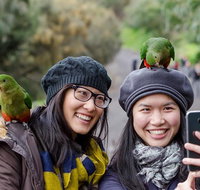 Small-Group Great Ocean Road and 12 Apostles Full-Day Tour from Melbourne - St Kilda Accommodation