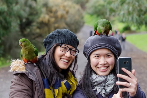 Small-Group Great Ocean Road And 12 Apostles Full-Day Tour From Melbourne - St Kilda Accommodation 0