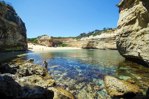 Small-Group Great Ocean Road And 12 Apostles Full-Day Tour From Melbourne - St Kilda Accommodation 5