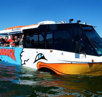 Express Jet Boat Ride  Aquaduck - St Kilda Accommodation