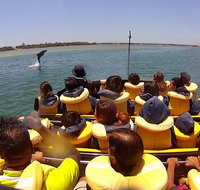 Gold Coast 55 Minute Adventure Jet Boat Ride - St Kilda Accommodation