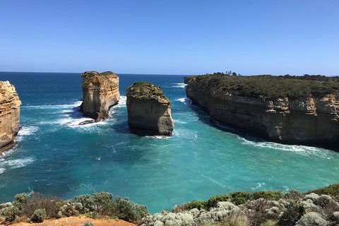Great Ocean Road Reverse Itinerary PREMIUM Tour - St Kilda Accommodation 0