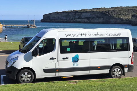 Great Ocean Road Reverse Itinerary PREMIUM Tour - St Kilda Accommodation 1