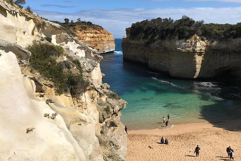 Great Ocean Road Reverse Itinerary PREMIUM Tour - St Kilda Accommodation 3