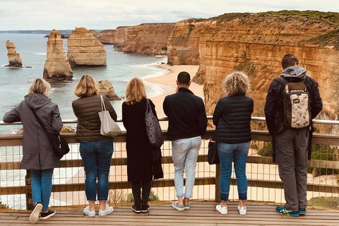 Great Ocean Road Reverse Itinerary PREMIUM Tour - St Kilda Accommodation 5